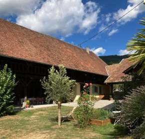 Gîte du Hibou - jolie dépendance sur verger